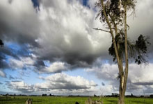 [PartyCat轰趴猫]2018.01.02 Vol.033 浴室里的蜜桃臀